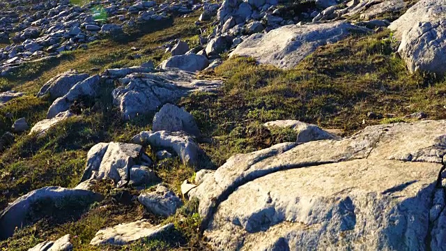 Jokulsargljufur峡谷的山和河的景观视频素材