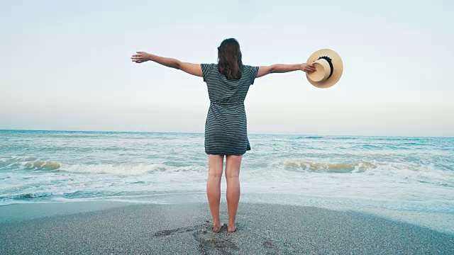 在海滩上沉思。视频素材