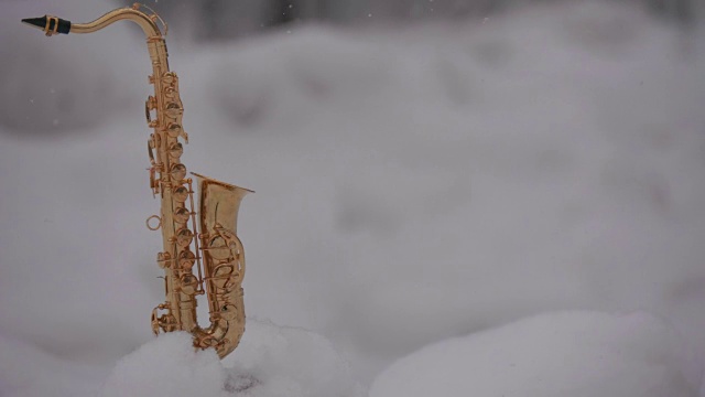 萨克斯风和雪视频下载