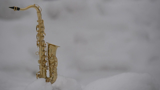 萨克斯风和雪视频素材