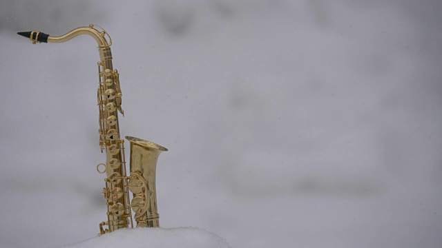 萨克斯风和雪视频素材