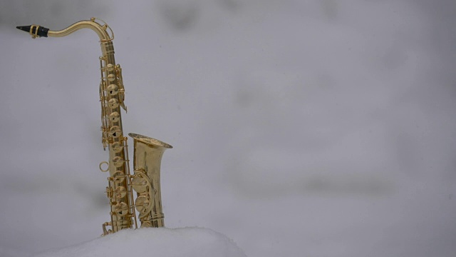 萨克斯管和雪视频素材