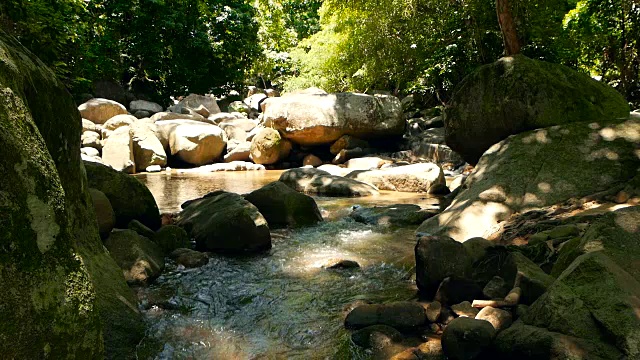 神奇的热带雨林和河流与岩石的风景。野生植被，深热带森林。丛林里的树木和湍急的岩石溪流。蒸汽和石头瀑布流过异国的树林。视频素材