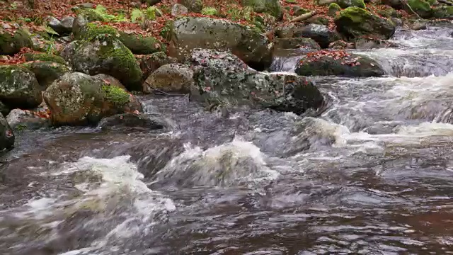 缓慢的运动。卡尔特博德河的流水，请仔细观察。Kalte Bode, Elendstal, Schierke, Oberharz am Brocken, Harz Mountains, Saxony-Anhalt，德国。视频素材