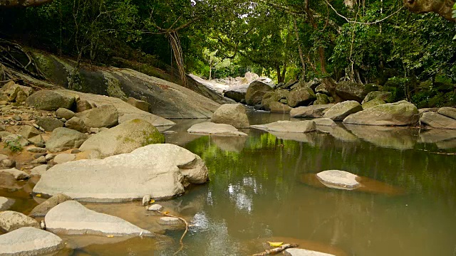 神奇的热带雨林和河流与岩石的风景。野生植被，深热带森林。丛林里的树木和湍急的岩石溪流。蒸汽和石头瀑布流过异国的树林。视频素材