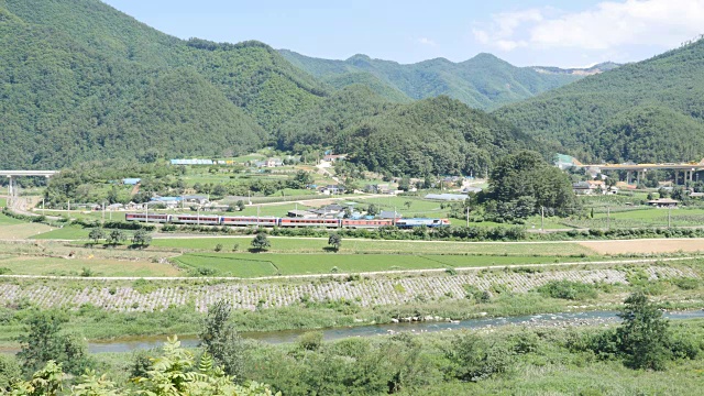 江原道省永东线上的木功花列车驶过奥斯普川溪视频素材