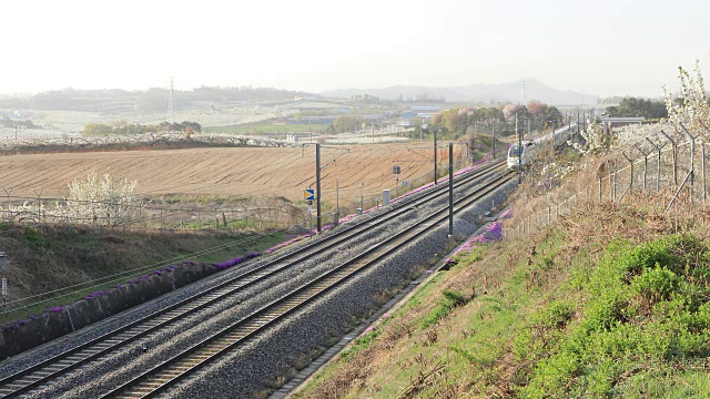 在峨山市，京布高速铁路上的SRT(超级快速列车)经过梨树视频素材