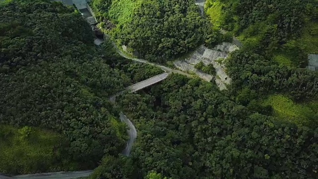 森林和道路的航拍。视频素材