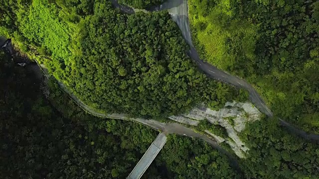 森林和道路的航拍。视频素材