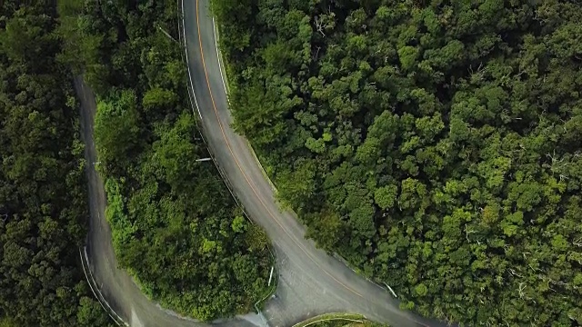 森林和道路的航拍。视频素材