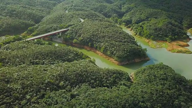 森林和道路的航拍。视频素材