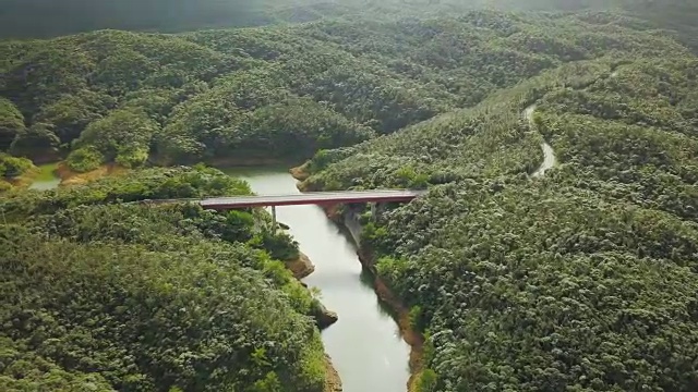 森林和道路的航拍。视频素材