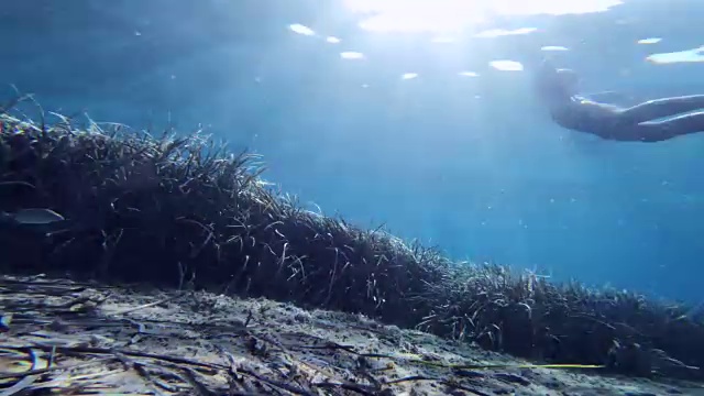 水下拍摄的成年妇女在海里游泳视频素材