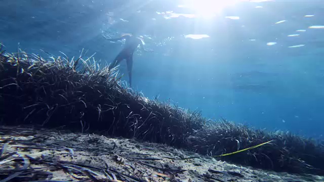 水下拍摄的成年妇女游泳在相机上方视频素材