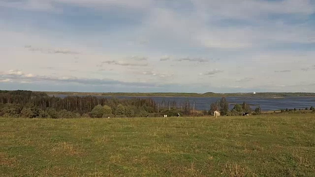 汽车沿着湖缓慢地行驶视频素材