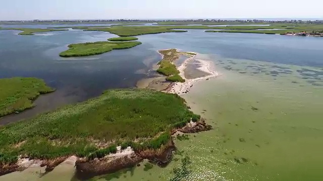 飞翔的海鸥飞过清澈透明的大海，来到一个美丽的小岛上，有白色的沙子和绿色的芦苇。视频素材