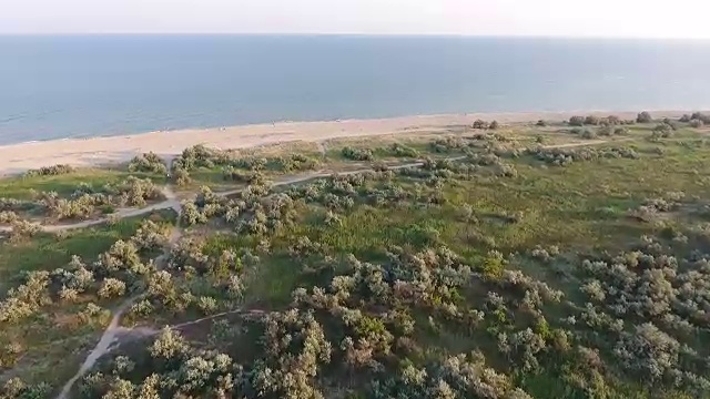 飞过美丽的灌木丛和草地，飞到海边。视频下载