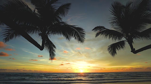美丽的热带海滩和大海与椰子树的剪影在日落视频素材