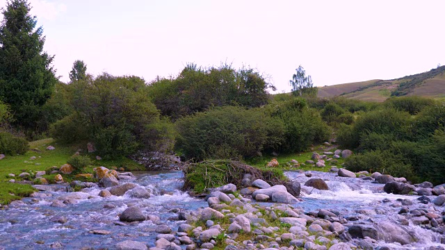 美丽的风景与山区河流在森林吉尔吉斯斯坦视频素材