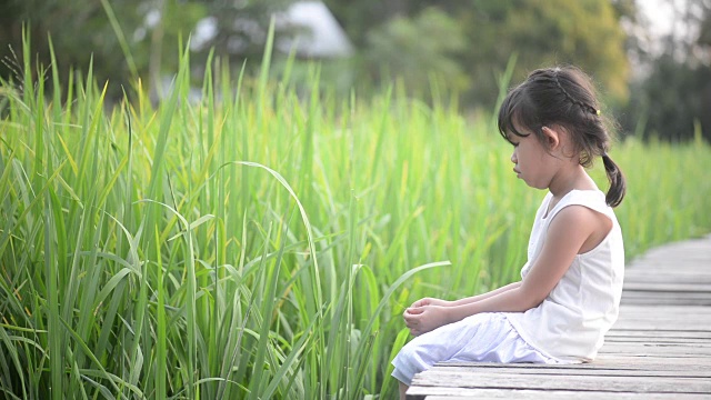 亚洲可爱的女孩坐在绿色稻田的木桥上。视频下载