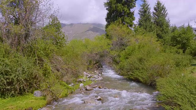 河水与绿色的灌木和天山为背景视频素材