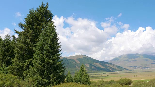 倾斜的视角从蓝天到空旷宁静的山谷与冷杉树和山脉视频素材