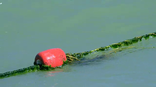 封闭的红色浮标漂浮在海上的波浪上视频素材