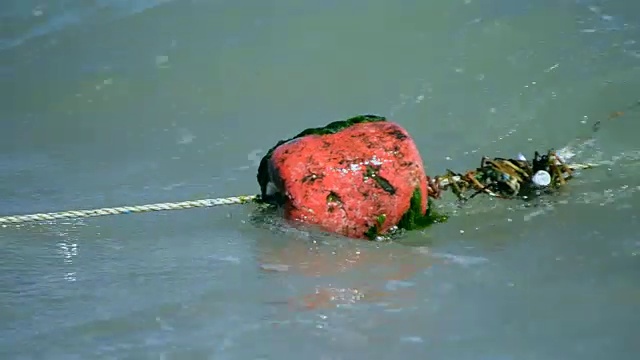 封闭的红色浮标漂浮在海上的波浪上视频素材