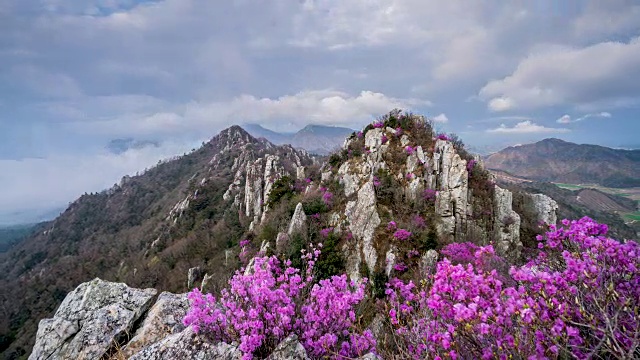 Jujaksan山(著名的旅游目的地)和杜鹃花盛开视频素材