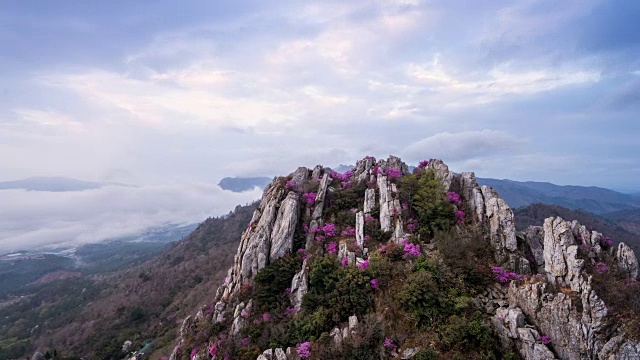 Jujaksan山(著名的旅游目的地)和杜鹃花盛开视频素材