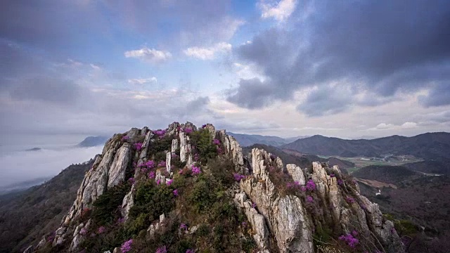 Jujaksan山(著名的旅游目的地)和杜鹃花盛开视频素材