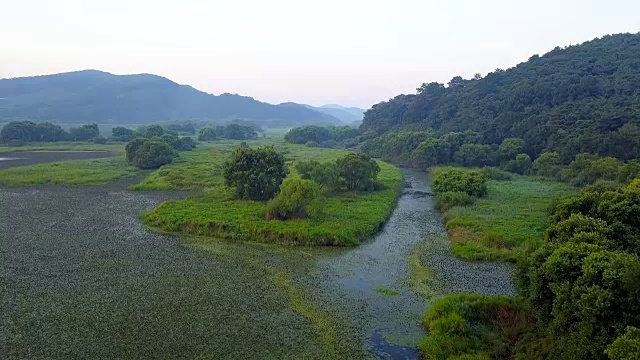 Uponeup(韩国最大的天然沼泽之一)视频素材