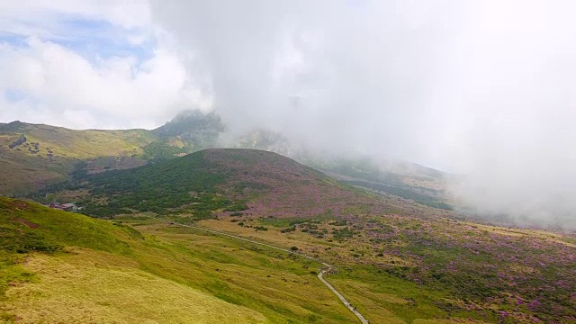 韩hallasan山(韩国最高的山)Witseoreum火山锥上的云和杜鹃花视频素材