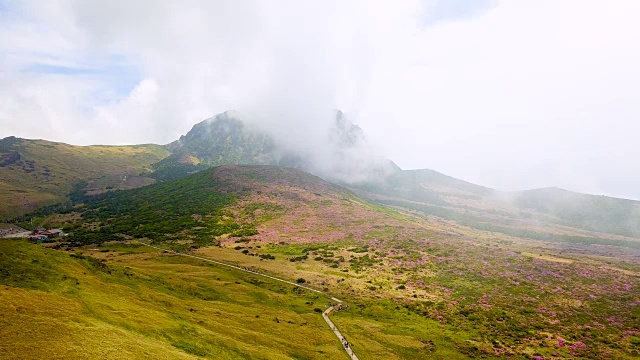 韩hallasan山(韩国最高的山)Witseoreum火山锥上的云和杜鹃花视频素材