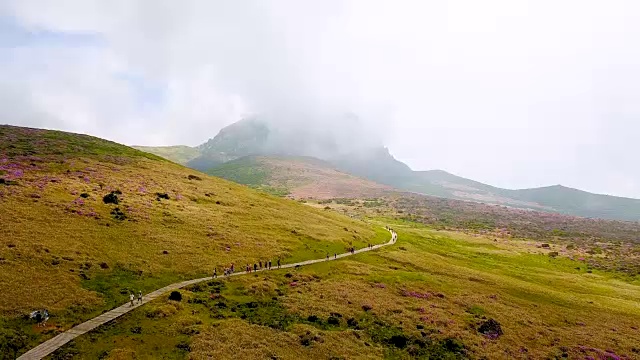 韩hallasan山(韩国最高的山)Witseoreum火山锥上的云和杜鹃花视频素材