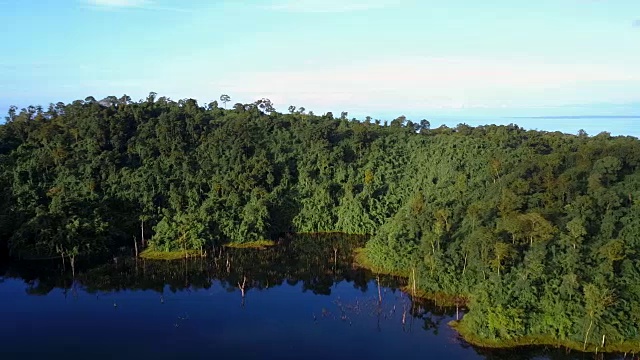 森林和湖泊的航拍视频素材