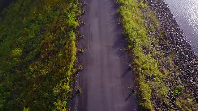 森林和湖泊的航拍视频素材