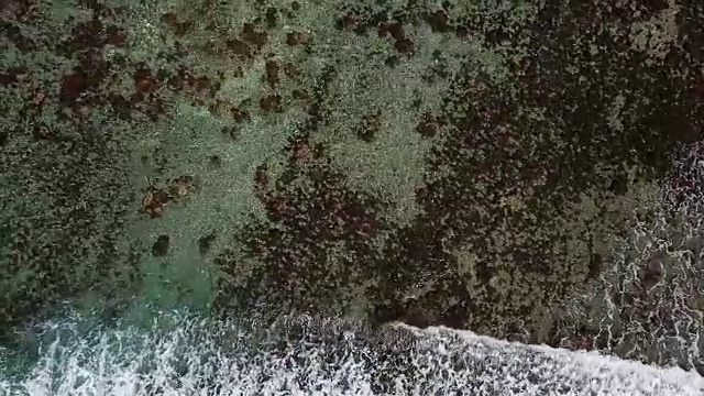 无人机拍摄的法国波利尼西亚热带岛屿和堡礁。视频素材