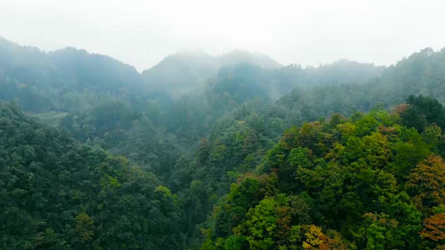 航拍的山与雾视频素材