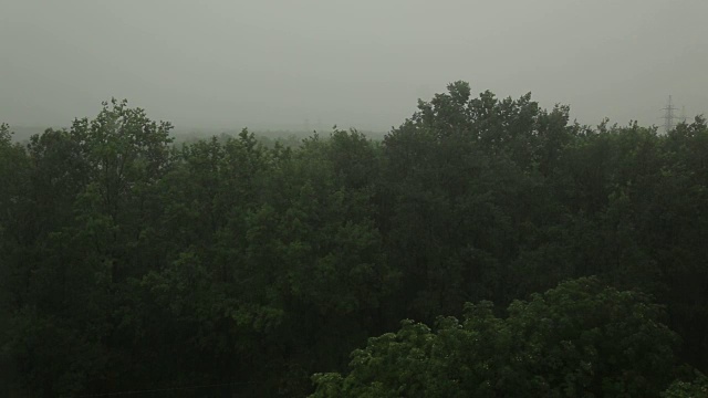 大雨和大风使树木摇晃。飓风。非常强的夏季风暴。视频素材