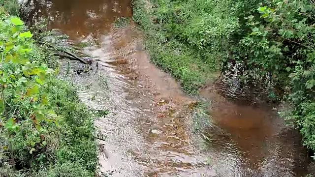 俯瞰小溪在白天在树林里流动视频素材