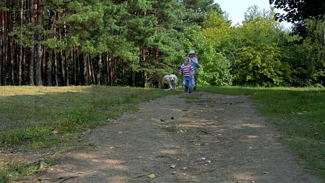 快乐的孩子们和一只漂亮的狗在草地上绕着田野跑视频素材