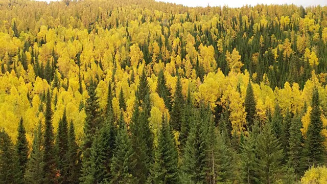 中国新疆河姆村的风景视频素材