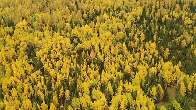 中国新疆河姆村的风景视频素材