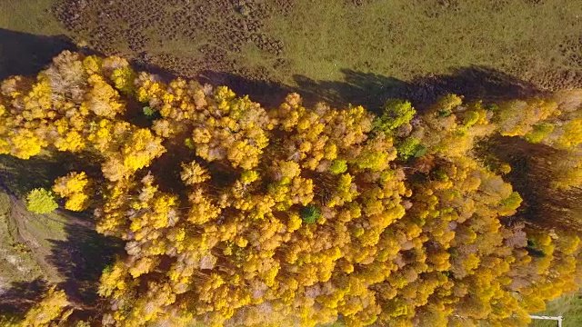 中国新疆河姆村的风景视频素材