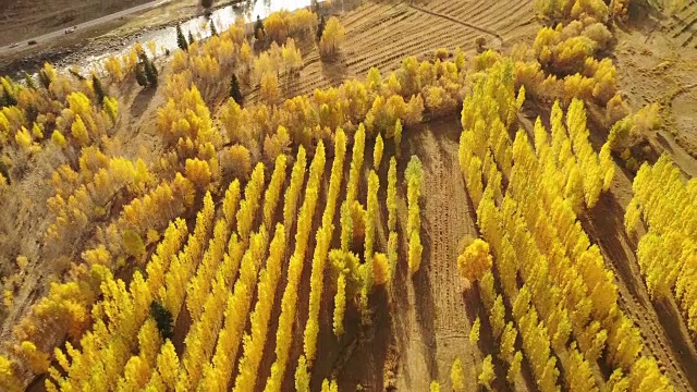 中国新疆河姆村的风景视频素材