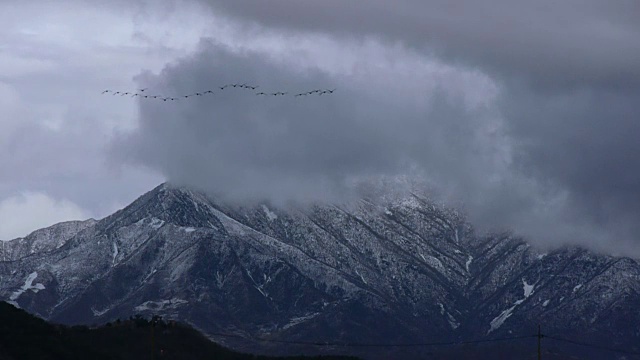 鸟飞过白雪覆盖的山/非军事区(韩国和朝鲜之间的非军事区)，朝鲜半岛视频素材