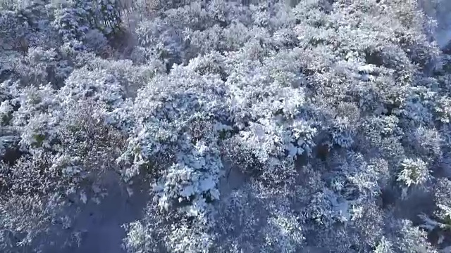 韩国与朝鲜之间的非军事区(Goseong-gun)山上的雪景视频素材