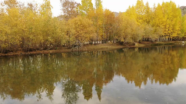 中国新疆河姆村的风景视频素材