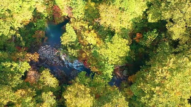 空撮　秋の紅葉　渓流　真俯瞰视频素材